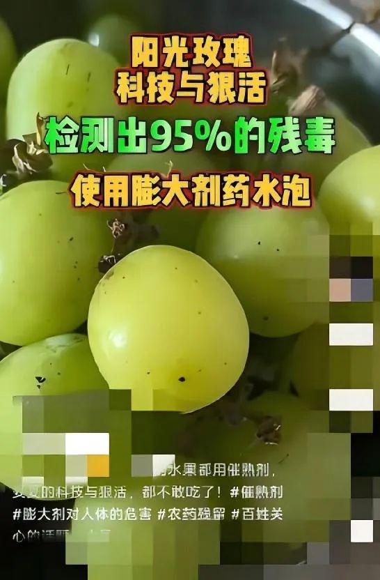 數(shù)百項農(nóng)殘檢測全為0？降解藥殘抗重茬，島本酵素菌劑到底有多神奇！