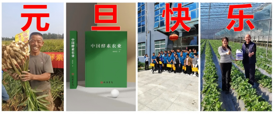 島本酵素2024年度總結(jié)及2025寄語